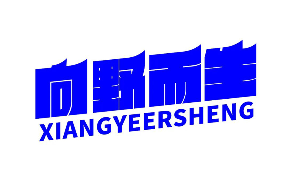 任我前行！18款向野而生字体设计