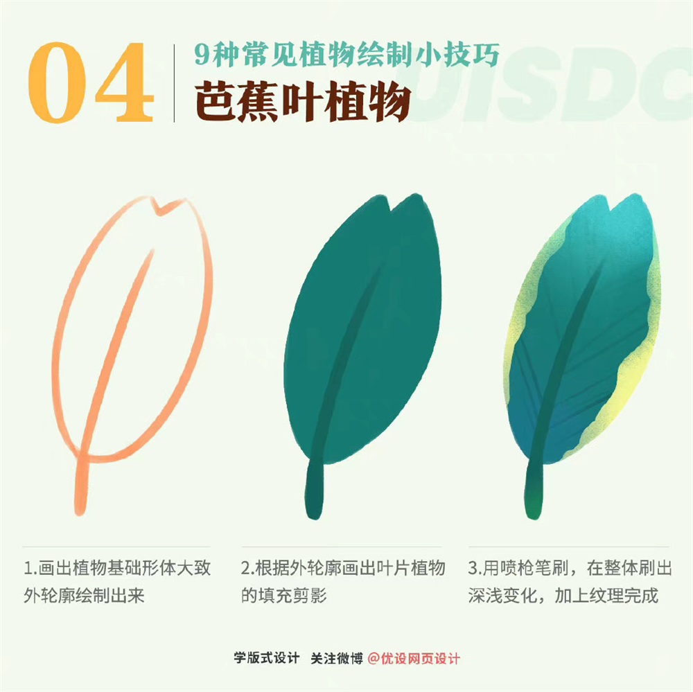 植物绘制无从下手？9 种常见植物绘制技巧