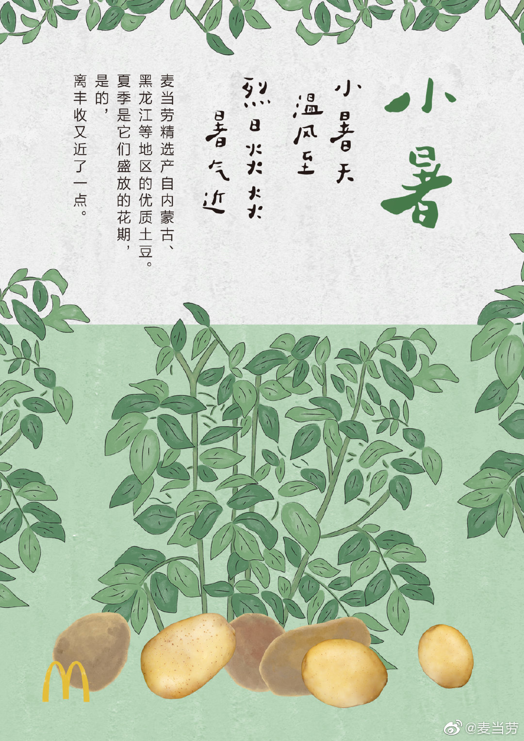 插画风格！二十四节气麦当劳借势海报设计