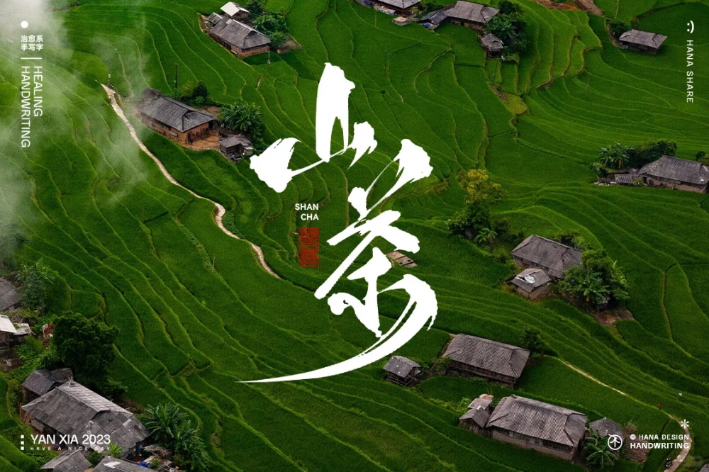 自由独特！12张手写艺术字字体设计